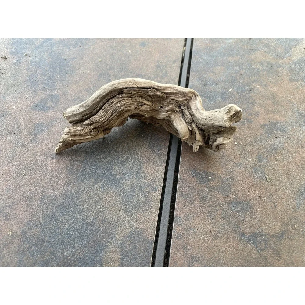 Natural Driftwood for Plants Terrarium‎ Taxidermy Art Projects